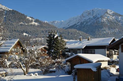 Apartamento Ferienwohnungen Alpentraum - Sommerwiese
