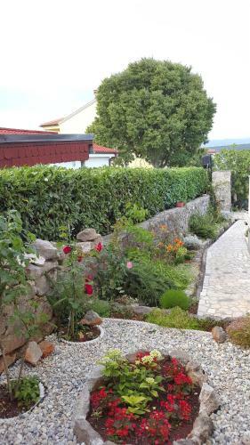 Apartamentos Vila Kraljica