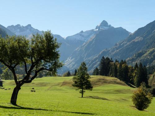 Delicious Apartment In Oberstdorf With A Balcony