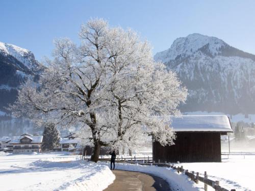 Lovely Apartment In Oberstdorf With A Sauna