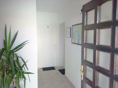 Apartments Kamelija