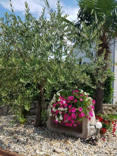 Bed & Breakfast Pansion Katarina