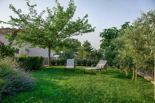 Apartment Rova