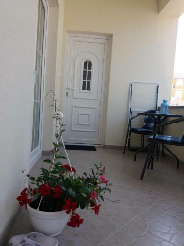 Apartamentos Studio Marina
