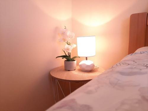 Hostal Apartment Rose