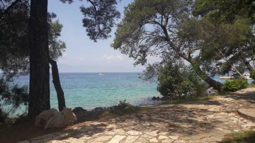 Apartmani Niessner