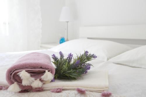 Apartment Lavanda