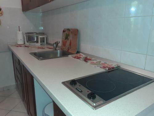 Apartment Dijana