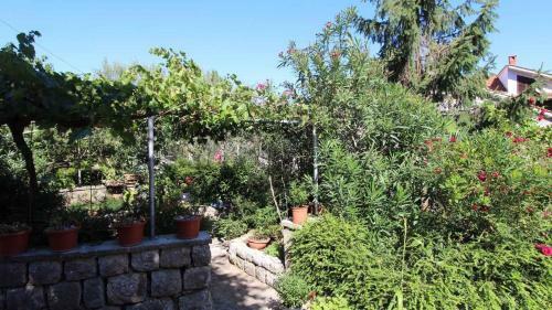 Hostal Apartments Tonica