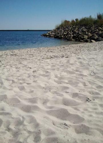 Sandburg