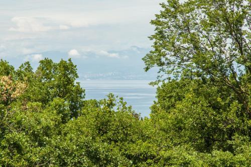 Hostal Pansion Dubravko- Vago