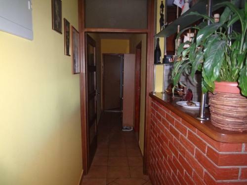 Apartamento Lucin 2