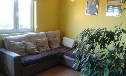 Apartamento Lucin 2