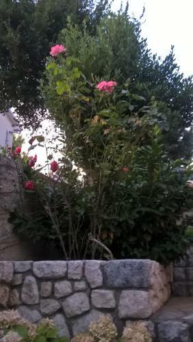 Apartman Nevija