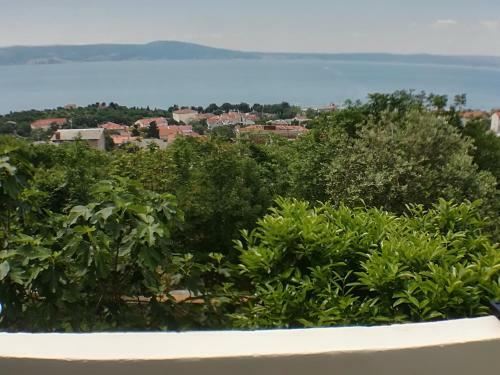 Apartman Darko