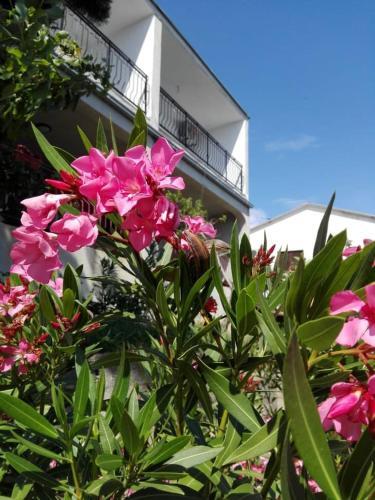 Apartamento Adria 2