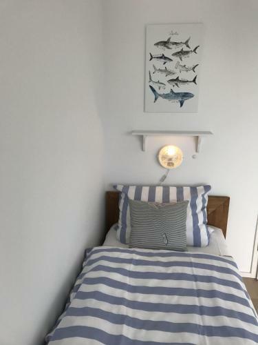 Ferienwohnung-oceanhouse-olpenitz