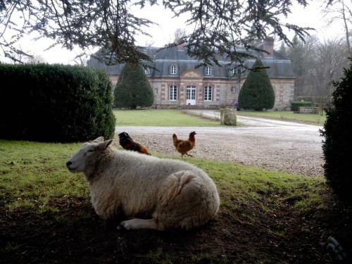 Bed & Breakfast Chambres D'h�tes La Bourbelle