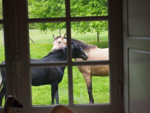 Bed & Breakfast Chambres D'h�tes Clos De Mondetour