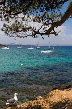 Club Belambra Riviera Beach Club