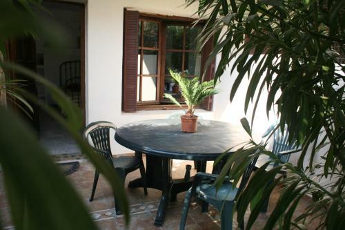 Apartamento R�sidence Les Mandariniers