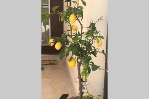 Apartamento Villa Stani? With Pool ( App For 4)