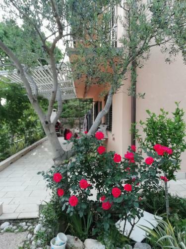 Apartamento Blue At Marina Novi