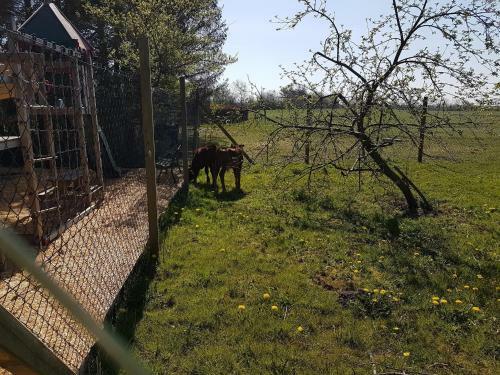 Apartamento Hof J�rlon