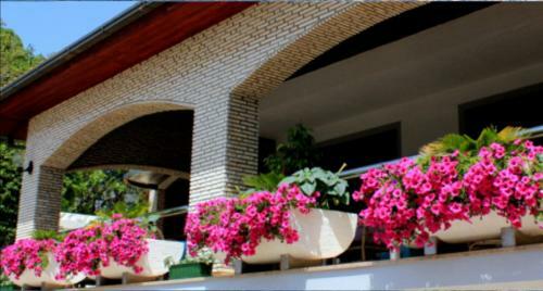 Hostal Villa Pintar