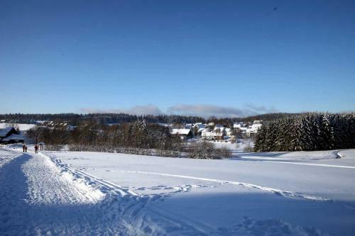 Apartamento Fewo-lerbachtal