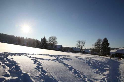 Apartamento Fewo-lerbachtal