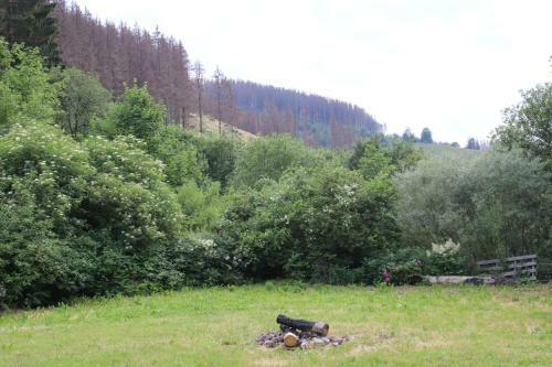 Green Tiny Village Harz - Modell Nature 04