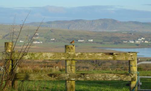 Secluded Thatched Cottage, Near Golfing & Beaches