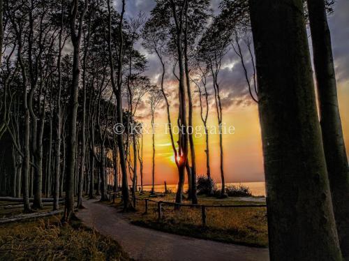Apartamento Ostseeblick