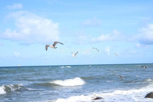 Apartamento Ostseeblick