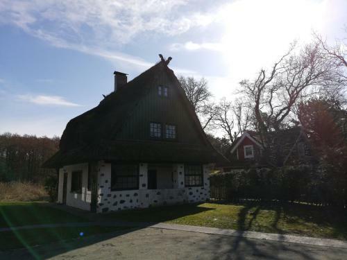 Dar�er Strandgut - Haus Butzek