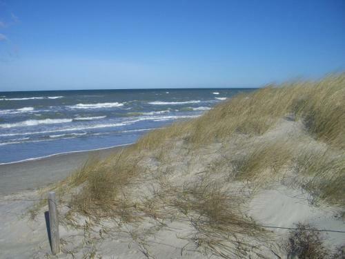 D�ne-9 In Dierhagen-strand