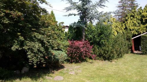 Apartamento Ferienwohnung Zaepernick Dachgeschoss