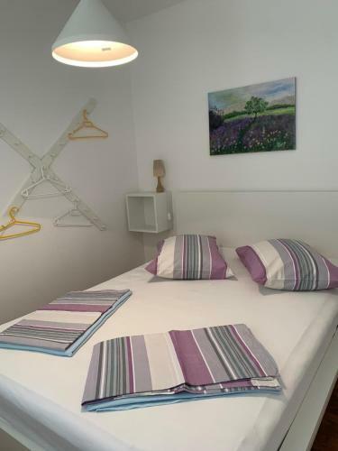 Apartmani "mi?o"