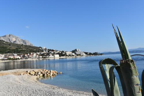 Apartamento Villa Nede 3