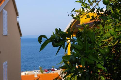 Apartmani Vranjes