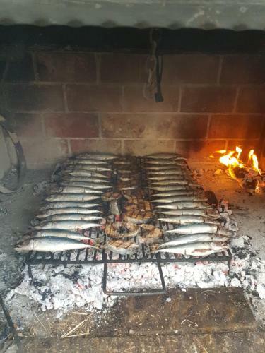 Apartmani Vranjes
