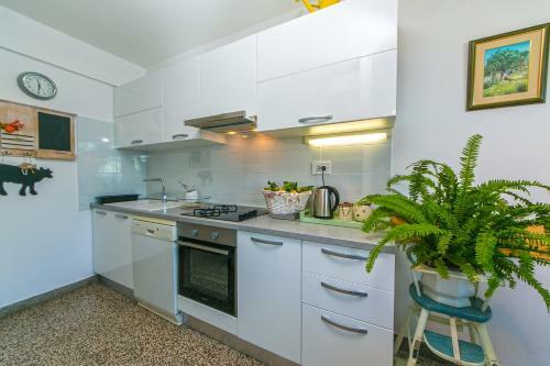 Apartamento Aart