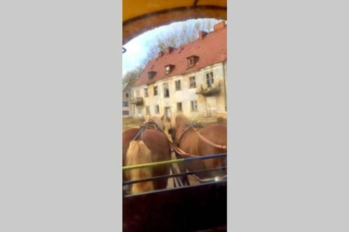 Apartamento ... Die Ostsee Direkt Vor Der T�r