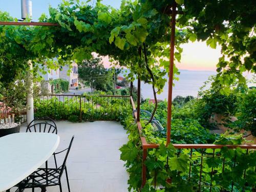 Villa Vicko
