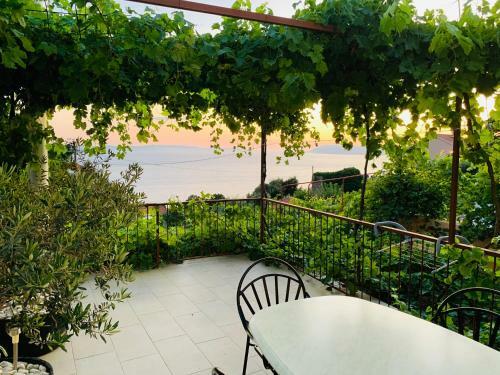 Villa Vicko