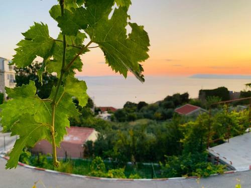 Villa Vicko