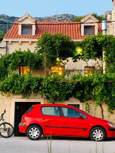 Villa Vicko