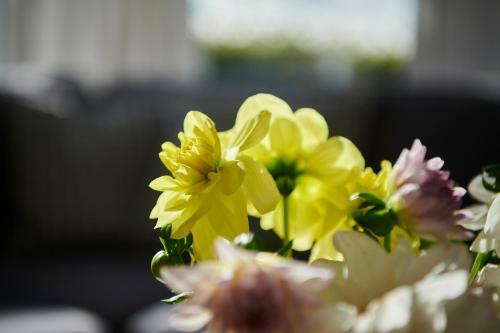 Apartamento Inselblick