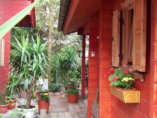 Apartamento Ferienhaus " Uns H�sung"